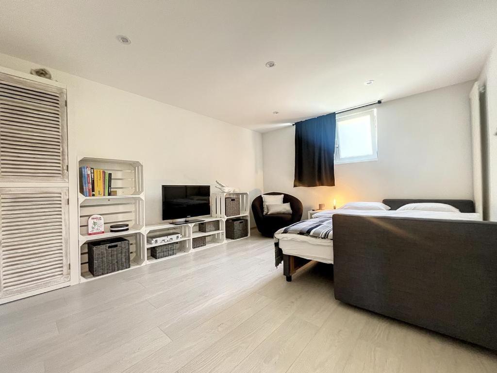 Appartement Moderne Avec Terrasse Et Piscine A Chatel Sur 贝克斯 外观 照片